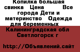 Копилка большая свинка › Цена ­ 300 - Все города Дети и материнство » Одежда для беременных   . Калининградская обл.,Светлогорск г.